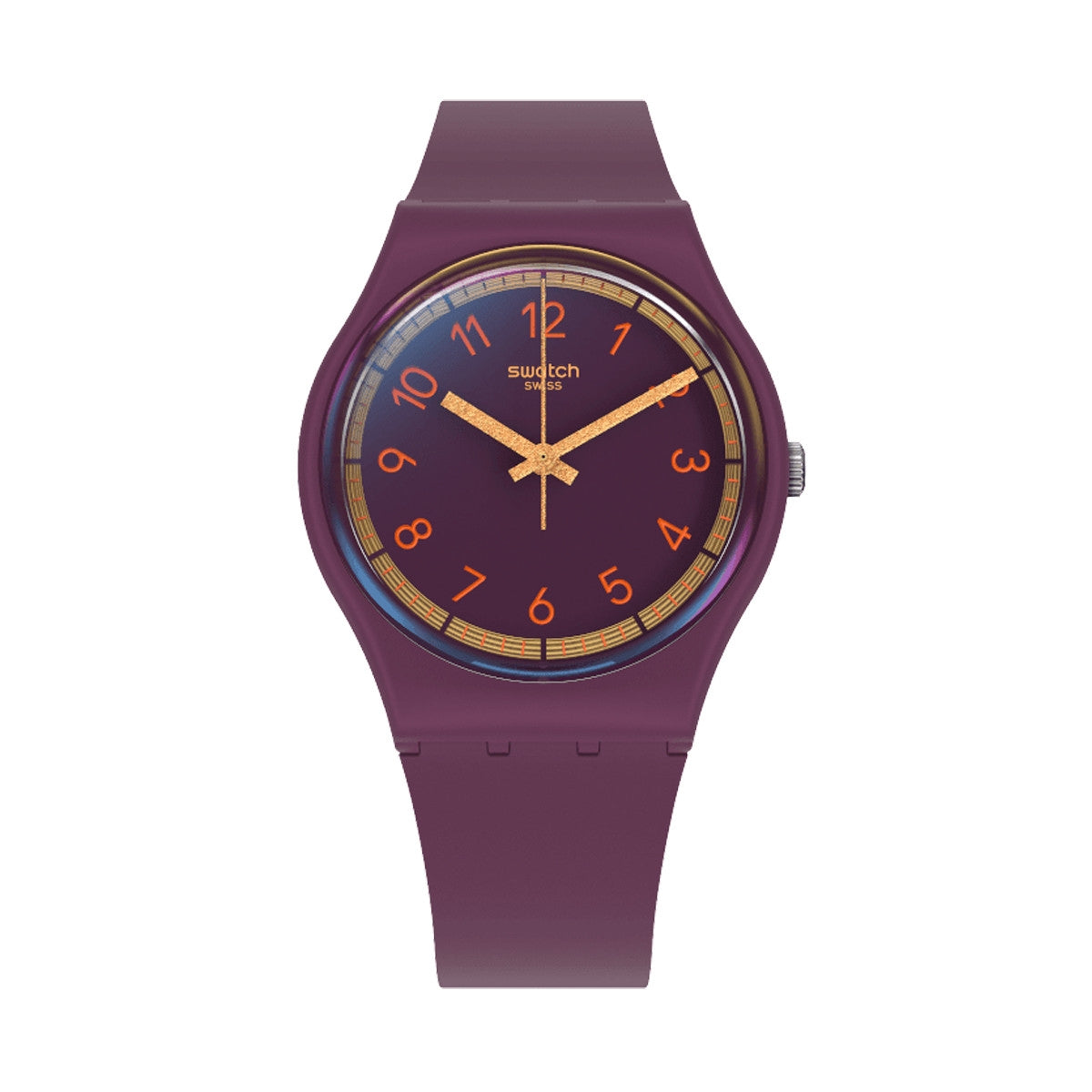 SWATCH WATCHES Mod. SVHV100-5300